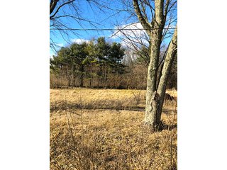 Property photo 4 - REAL ESTATE AUCTION - 30.5+/- ACRES IN 3 TRACTS IN KOSCIUSKO COUNTY, INDIANA